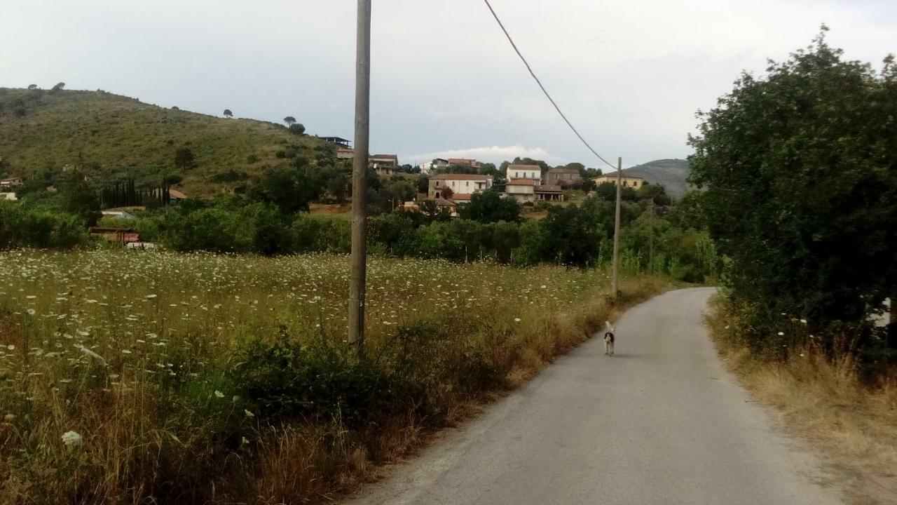 לינה וארוחת בוקר קסטלבאטה Il Brillocco מראה חיצוני תמונה